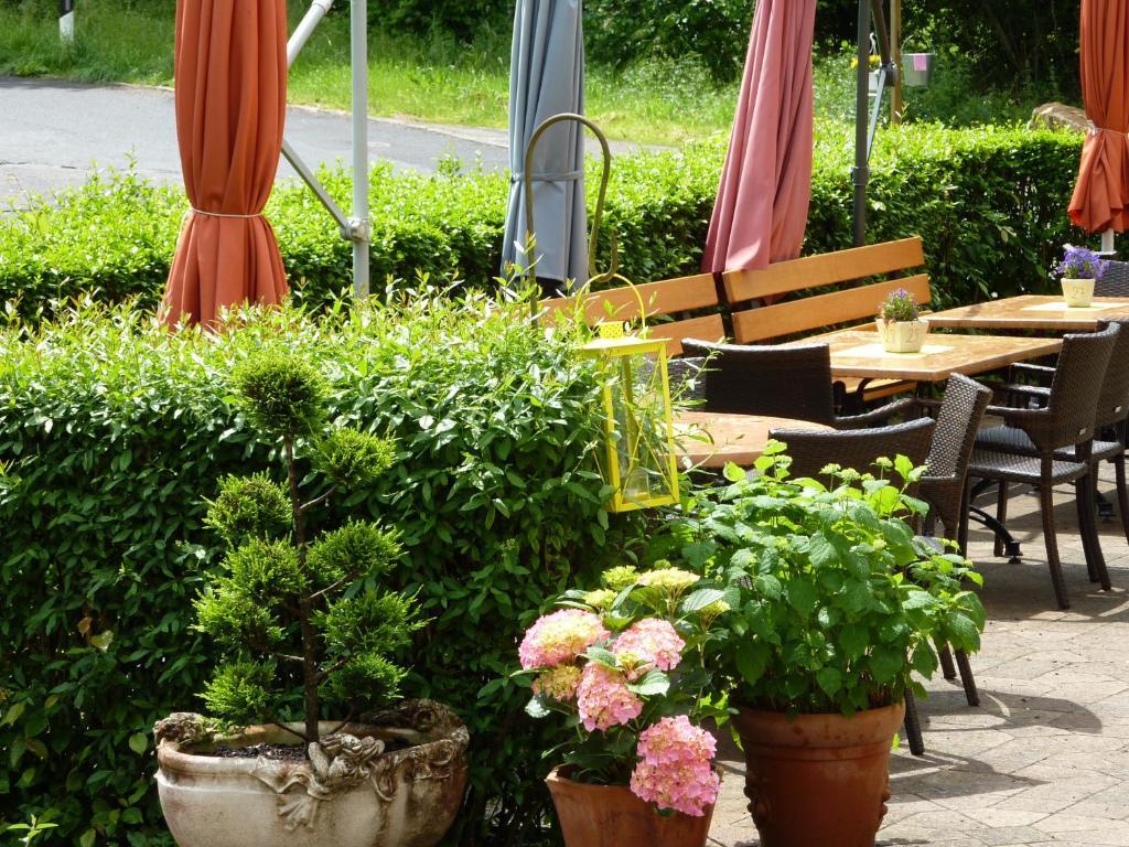Hotel Waldschloesschen Plein Экстерьер фото